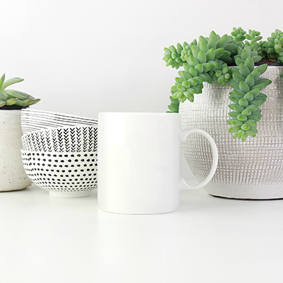 Vase Garden