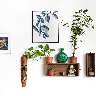 Vase Showroom