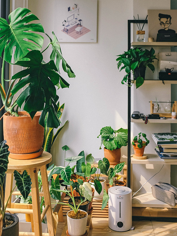 Vase Showroom